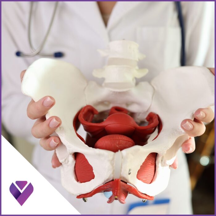 CONTINUA LA TUA FORMAZIONE IN RIABILITAZIONE DEL PAVIMENTO PELVICO